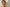 articles/01_Collagen-for-SunSeason_Featured-Image_d42b51df-17cb-4480-9f8a-01a3d9a16820.webp