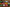 articles/01_Whole_Foods_Movement__Featured.webp